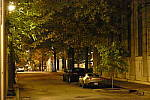 Click to see YP1000738.JPG