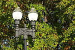 Click to see YP1000765.JPG