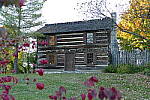 Click to see YP1000783.JPG