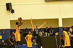 Click to see YSP-P6690016.JPG