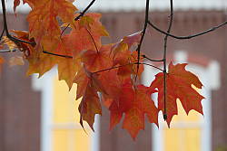Panasonic FZ1000 shooter's report photo