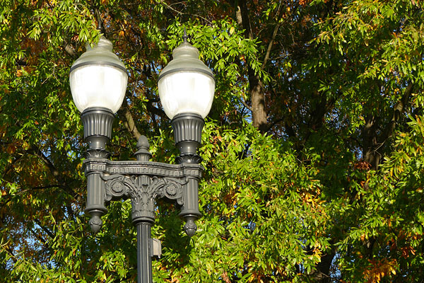 Panasonic FZ1000 review -- Sample photo