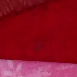 100% crop from Panasonic FZ1000 test image taken at ISO 1600
