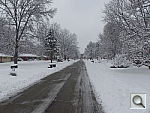 Click to see YP1030662.JPG