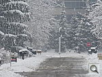 Click to see YP1030663.JPG