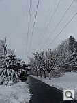 Click to see YP1030673.JPG