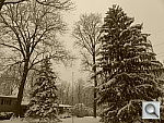 Click to see YP1030686.JPG