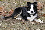 Click to see Y_1000165.JPG