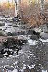 Click to see Y_1000281.JPG