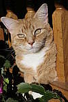 Click to see Y_1000434.JPG