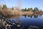 Click to see Y_1000441.JPG