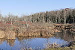 Click to see Y_1000446.JPG
