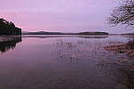 Click to see Y_1000479.JPG