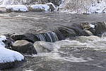 Click to see Y_1000697.JPG