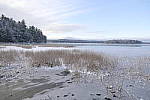 Click to see Y_1000706.JPG