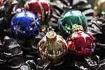 Click to see Y_1000762-ISO-3200.JPG