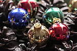 Click to see Y_1000763-ISO-6400.JPG