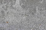 Click to see Y_1000796-LENS-SHARP-480-f4.5.JPG