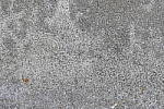 Click to see Y_1000797-LENS-SHARP-480-f5.6.JPG
