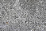 Click to see Y_1000798-LENS-SHARP-480-f8.0.JPG