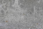 Click to see Y_1000799-LENS-SHARP-480-f11.JPG