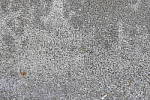 Click to see Y_1000800-LENS-SHARP-480-f11-DIFF-COMP.JPG