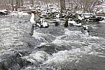 Click to see Y_1010145-ND-Off.JPG