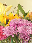 Click to see YP1030722-CC-Retro.JPG