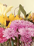 Click to see YP1030723-CC-OldDays.JPG