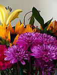 Click to see YP1030725-CC-LowKey.JPG