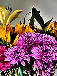 Click to see YP1030731-CC-ImpressiveArt.JPG
