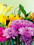 Click to see YP1030733-CC-CrossProcess.JPG