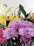 Click to see YP1030736-CC-BleachBypass.JPG