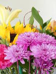 Click to see YP1030738-CC-SoftFocus.JPG