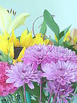 Click to see YP1030739-CC-Fantasy.JPG