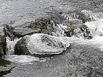 Click to see Y_1030075.JPG