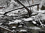 Click to see Y_1030239.JPG