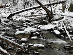 Click to see Y_1030247.JPG