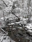 Click to see Y_1030251.JPG