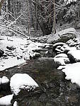Click to see Y_1030268.JPG