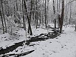 Click to see Y_1030272.JPG