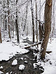 Click to see Y_1030273-MOD.JPG