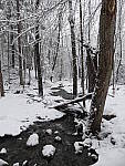 Click to see Y_1030273.JPG