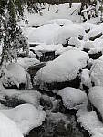 Click to see Y_1030316.JPG