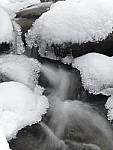 Click to see Y_1030329.JPG