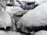 Click to see Y_1030334-MOD.JPG