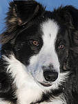 Click to see Y_1030355-MOD.JPG
