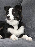 Click to see Y_1030424.JPG