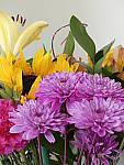 Click to see Y_1030714-ISO-100.JPG