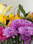 Click to see Y_1030716-ISO-400.JPG